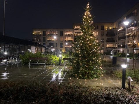 Juleferiestemning i Holmsø Silkeborg